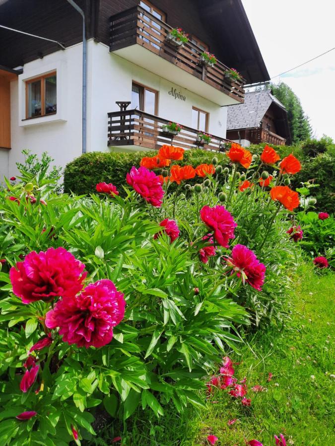 Apartmán Haus Alpina Weissensee Exteriér fotografie